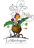 Paniers de produits du marché bio