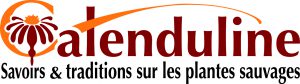 Conseils santé contre grippes et virus