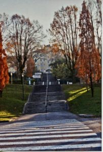 Sauver le parc et la Boule de Bellevue