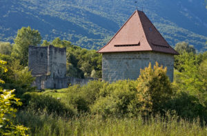 Petition contre deforestation autour du chateau THOMAS II