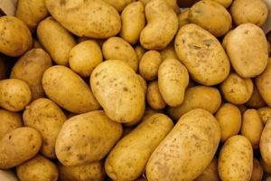 CONSOMMATION Rappel de pommes de terre vendues chez Auchan et Lidl