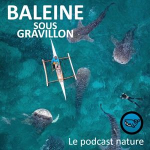 Pour découvrir des êtres vivants étonnants