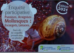 Appel à participation aux randonneurs, jardiniers et autres observateurs